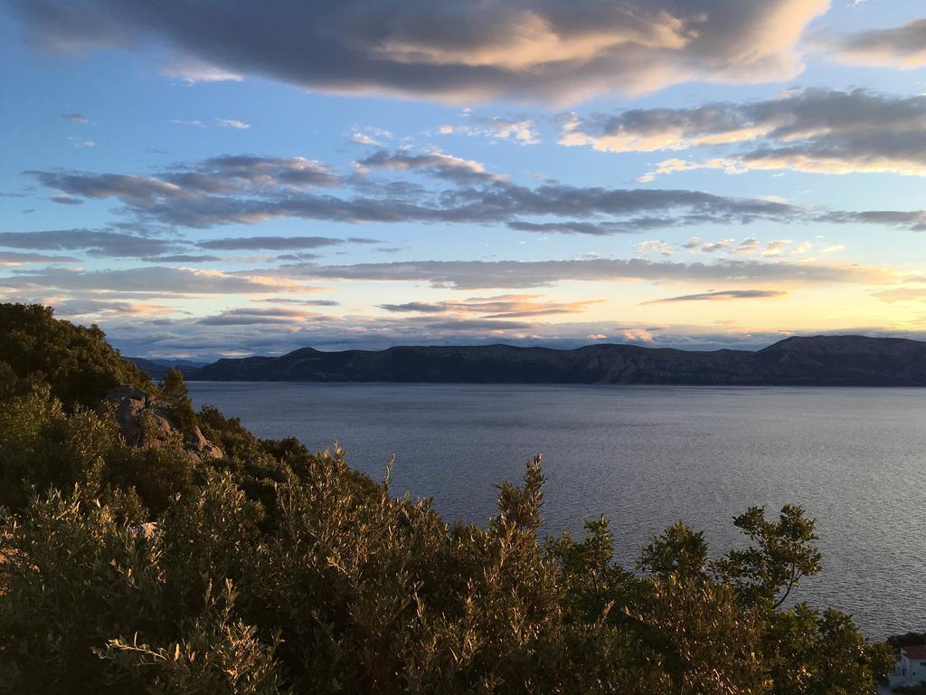 Dora Mljet Apartment
